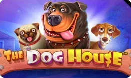 Always Vegas Casino – The Dog House